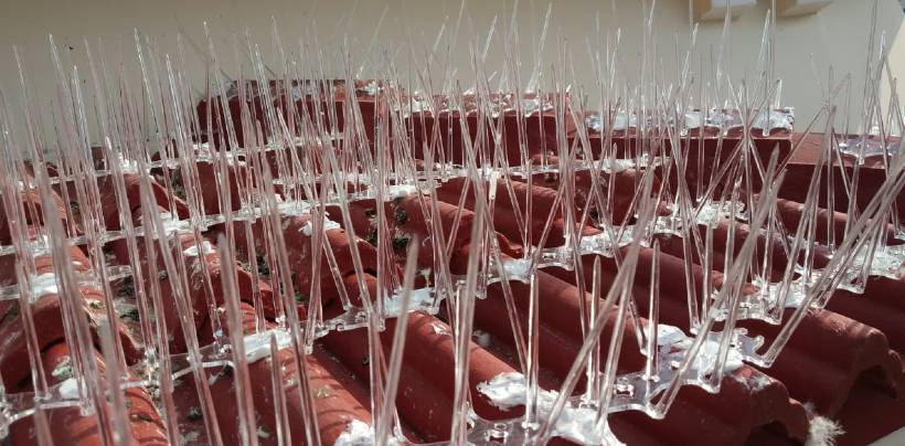 Bird Spikes & Pigeon Spikes In Hyderabad| Call 7386237793Service in Bangalore