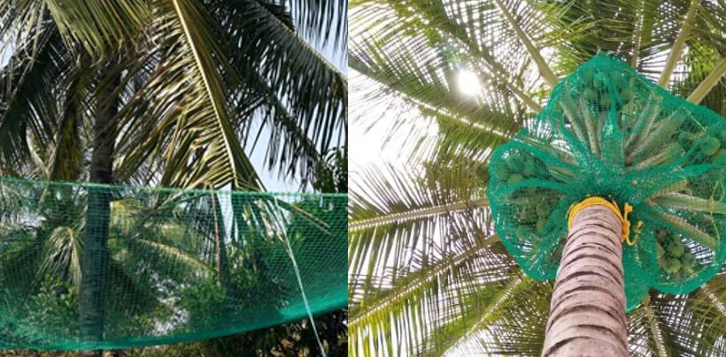 Coconut Tree Safety Nets Fixing | Call 7386237793for Fall Arrest Nets Fixing