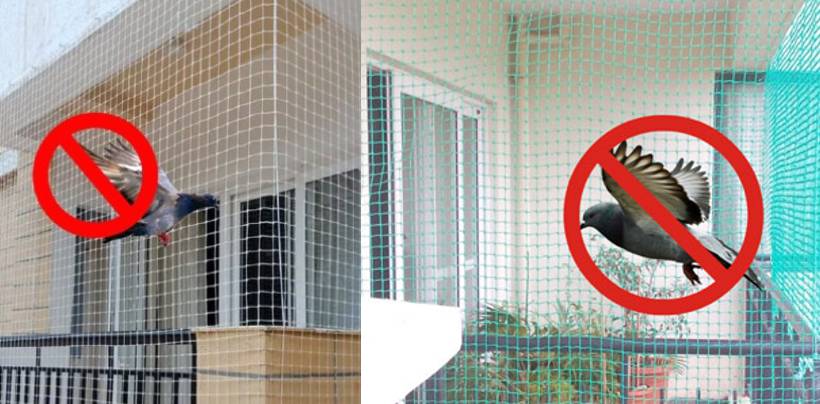 Pigeon Net Installation In Hyderabad| Call 7386237793for Best Quality Net 