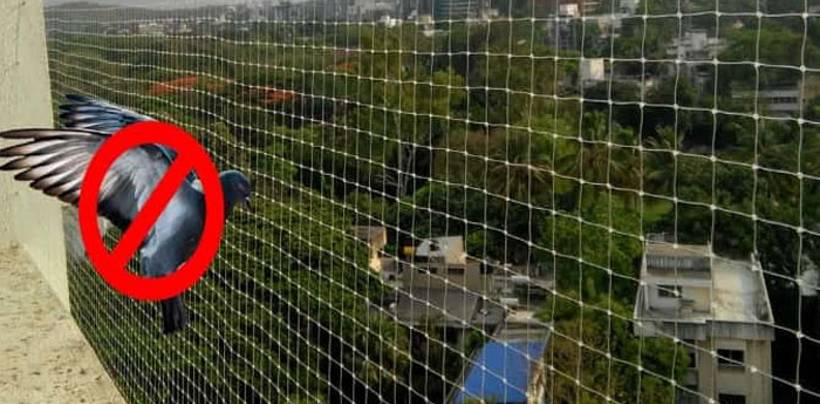 Pigeon Nets for Balcony in Hyderabad| Call 7386237793Sushmitha Safety Nets