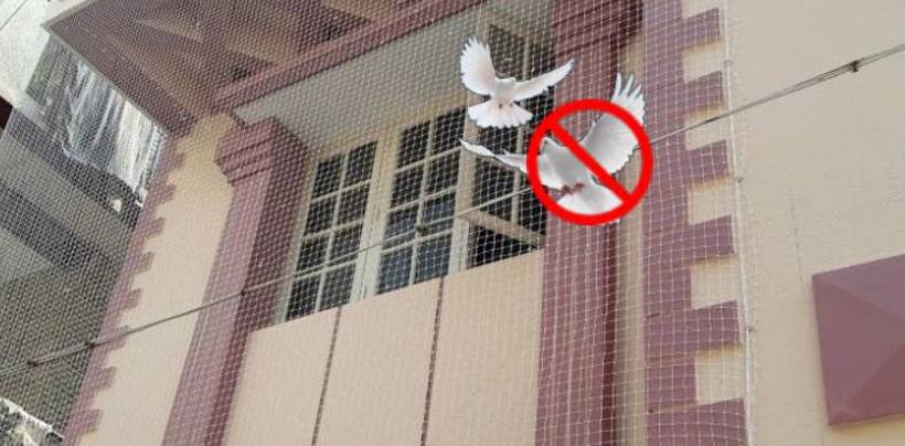 Pigeon Safety Nets Installation Cost in Hyderabad| Call 7386237793Fixing Nets
